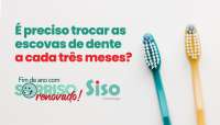 Devemos trocar a escova de dentes a cada três meses?